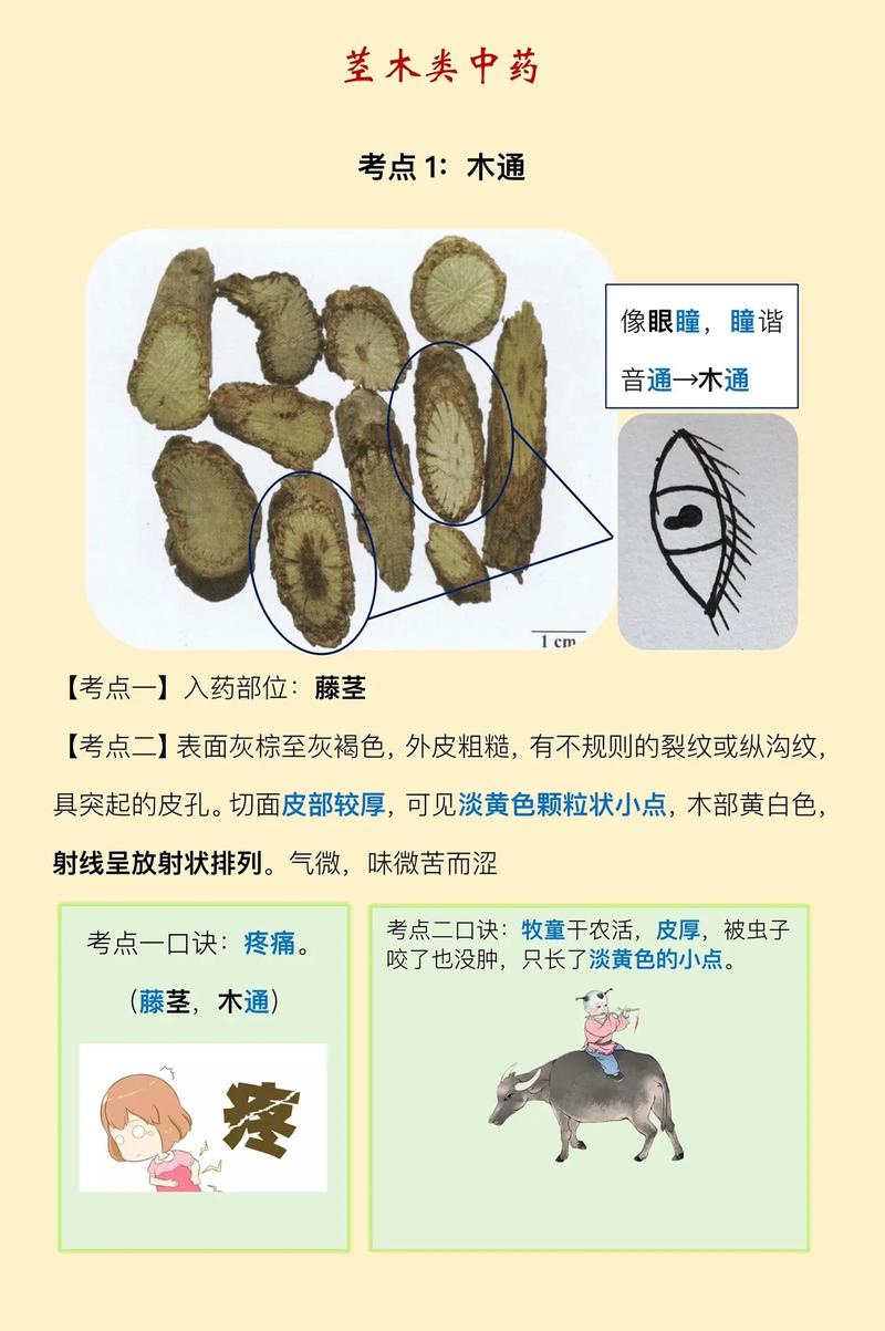 印安印度代购希爱力是真的吗？避坑指南与正品鉴别全攻略